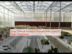 Good Thermal Insulation Polycarbonate Sheet PC Panel Greenhouse