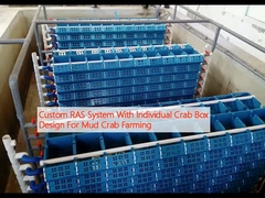 Custom RAS System With Individual Crab Box Design For Mud Crab Farming