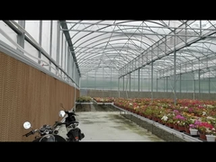 Plastic film sawtooth greenhouse