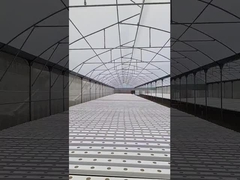 Sawtooth tropical greenhouse with roof vent