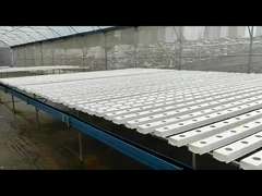 NFT PVC pipe hydroponics lettuce growing system