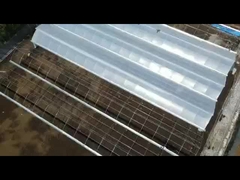 NFT hydroponics cheap greenhouse