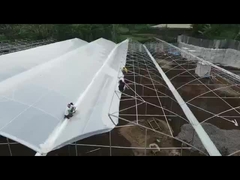 Roof top ventilation greenhouse