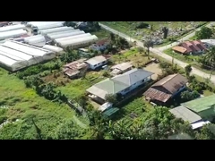 WL8238 model roof vent plastic film greenhouse