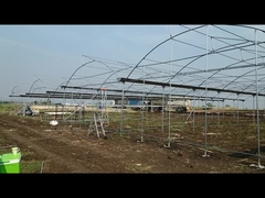 Ecomonical roof vent greenhouse for hot climate countries