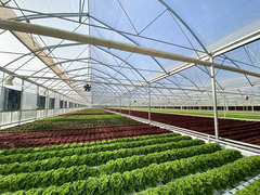 CHINA IGREEN supplies greenhouse, hydroponics, ras fish growing system, mushroom growing device