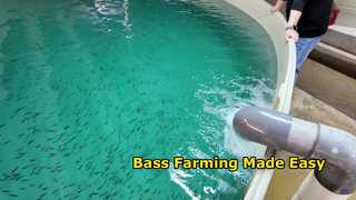 IGreen RAS for Freshwater Bass Farming
