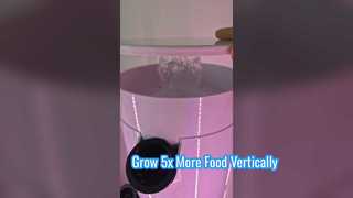 Cultivez 5 fois plus de nourriture avec cette tour hydroponique verticale