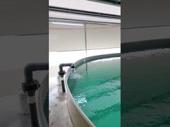 High-Density Catfish Farming System | Indoor Factory RAS with Complete Filtration