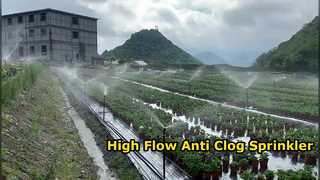 Heavy Duty Brass Impact Sprinkler for Large Scale Farming