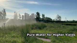 Satisfying 360° Farm Sprinkler Spraying! Best Irrigation for Large Fields