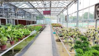 Szklana szklarnia IGREEN z inteligentnym systemem sterowania