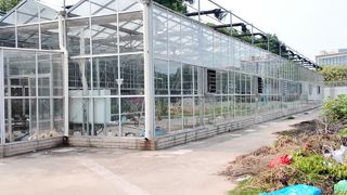 Float Glass Greenhouse | Attractive Appearance, Wind/Snow Resistance & Intelligent Control System